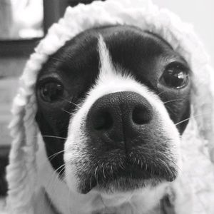 Meet your Posher, Beth